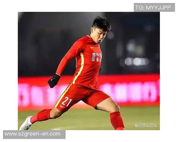 中国足球大冷门球星盘点那些曾一度被看好的失落天才