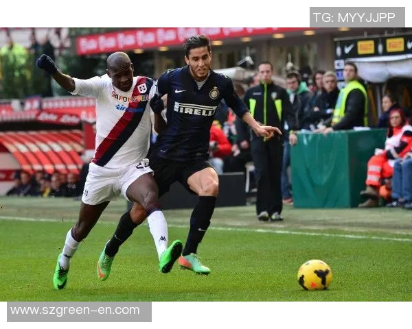 聚焦三号球星：突破与荣耀背后的奋斗与激情